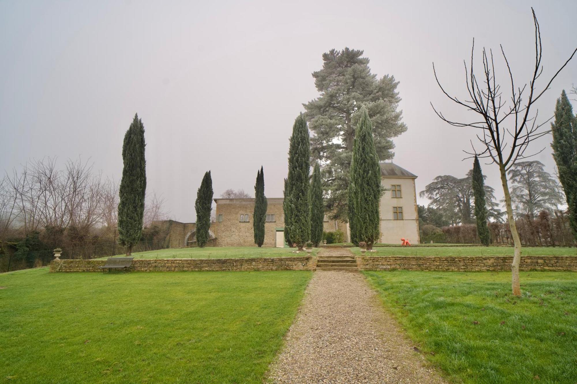 Bed and Breakfast Chateau De Rance à Genay  Extérieur photo